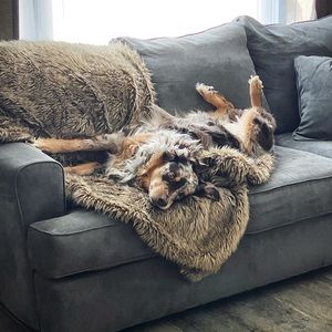 Meet your Posher, Brandy